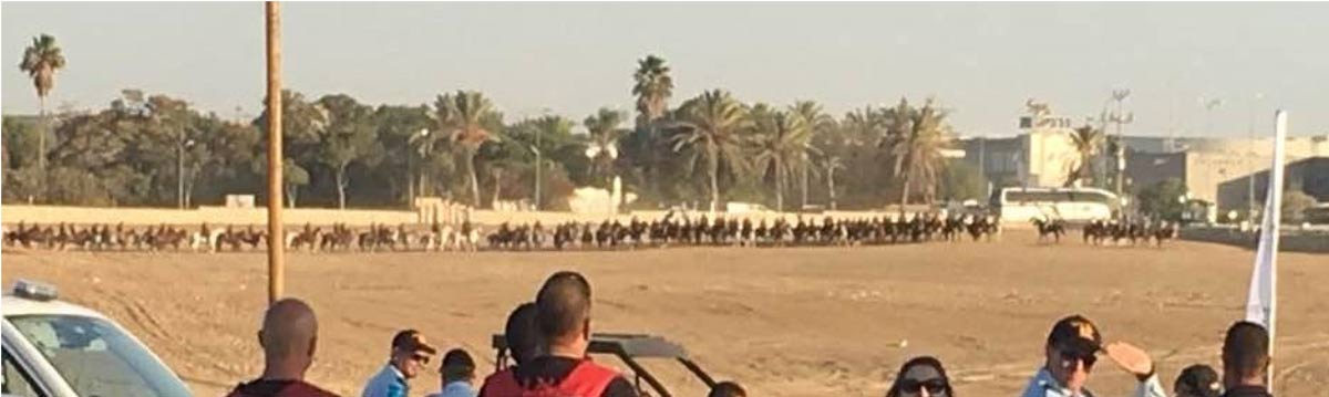 Light horse charge re-enactment Beer Sheva 31.10.2017 photo by Barbara Miller